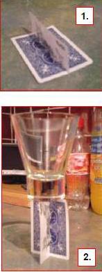 Ly đứng trên lá bài